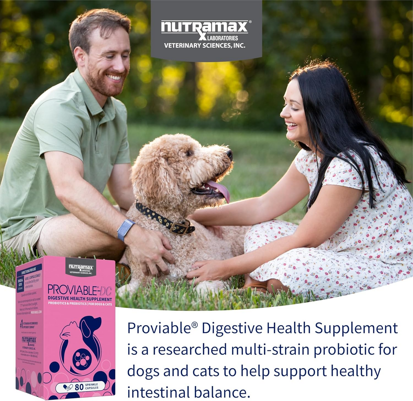 Proviable™ Dog & Cat Probiotics with Prebiotics – 80 Capsules