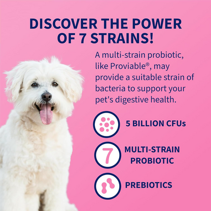 Proviable™ Dog & Cat Probiotics with Prebiotics – 80 Capsules